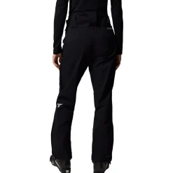 Platinum Peak II 3L Pant - Women's
