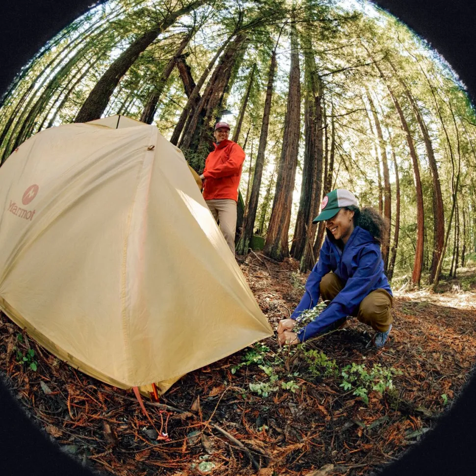 PreCip Eco Pro Jacket - Women's