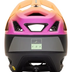 Proframe RS Helmet
