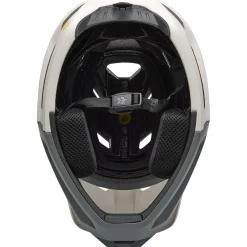 Proframe RS Helmet