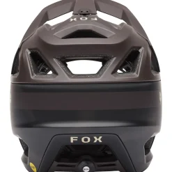 Proframe RS Helmet