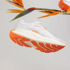 Promorph Trail Running Shoe - Men's