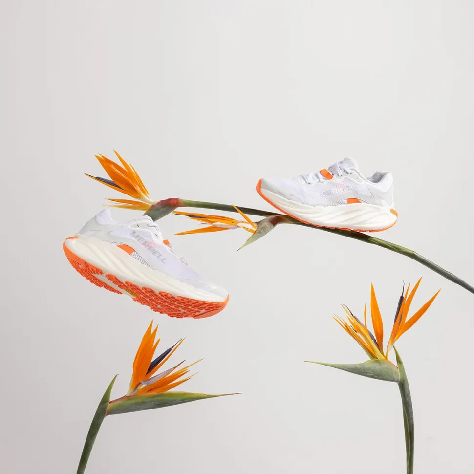 Promorph Trail Running Shoe - Men's