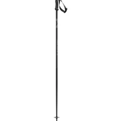 540 Pro Ski Poles