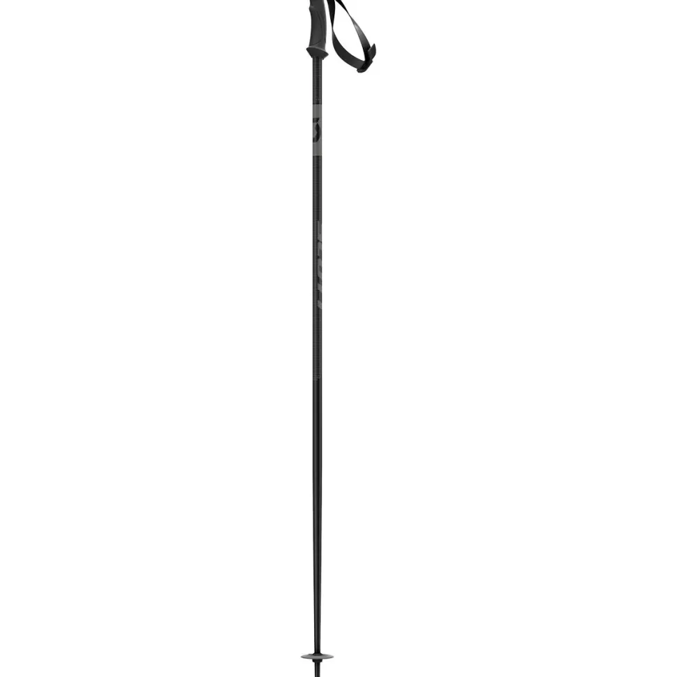 540 Pro Ski Poles