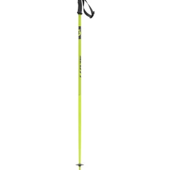 540 Pro Ski Poles