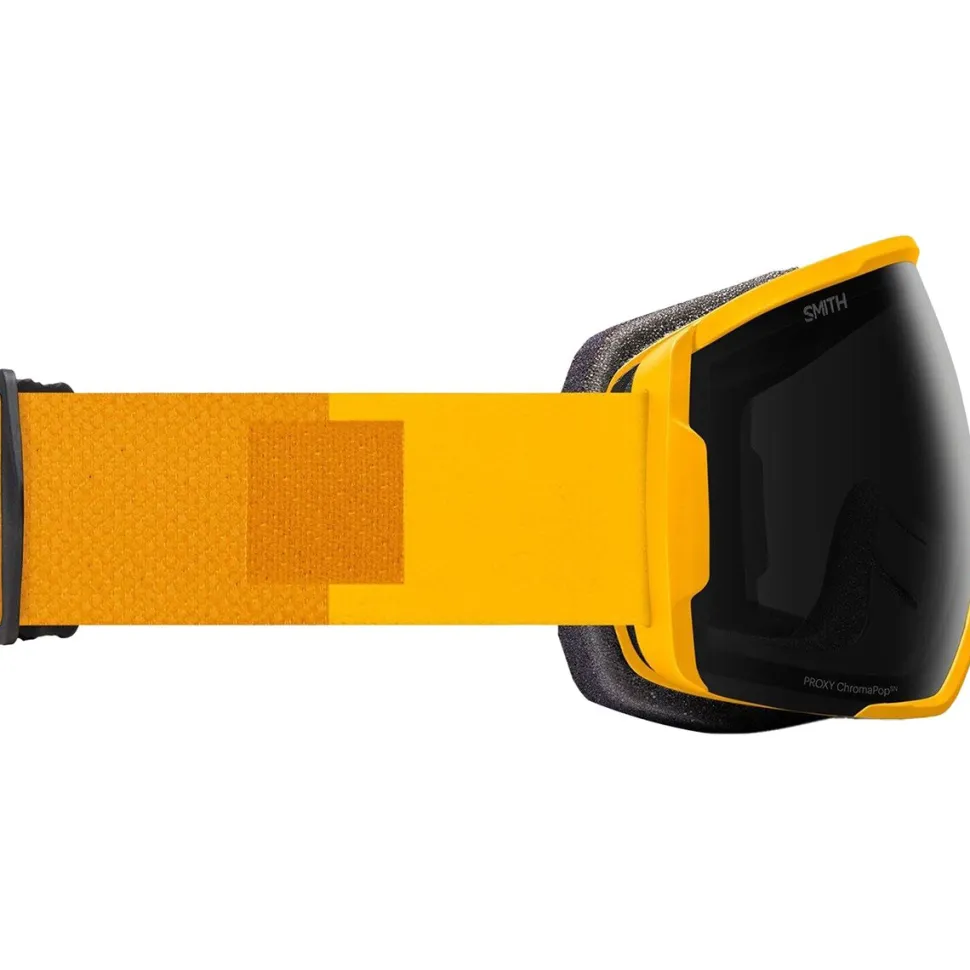 Proxy Goggles