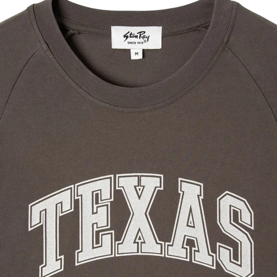 Raglan Stripe T-Shirt