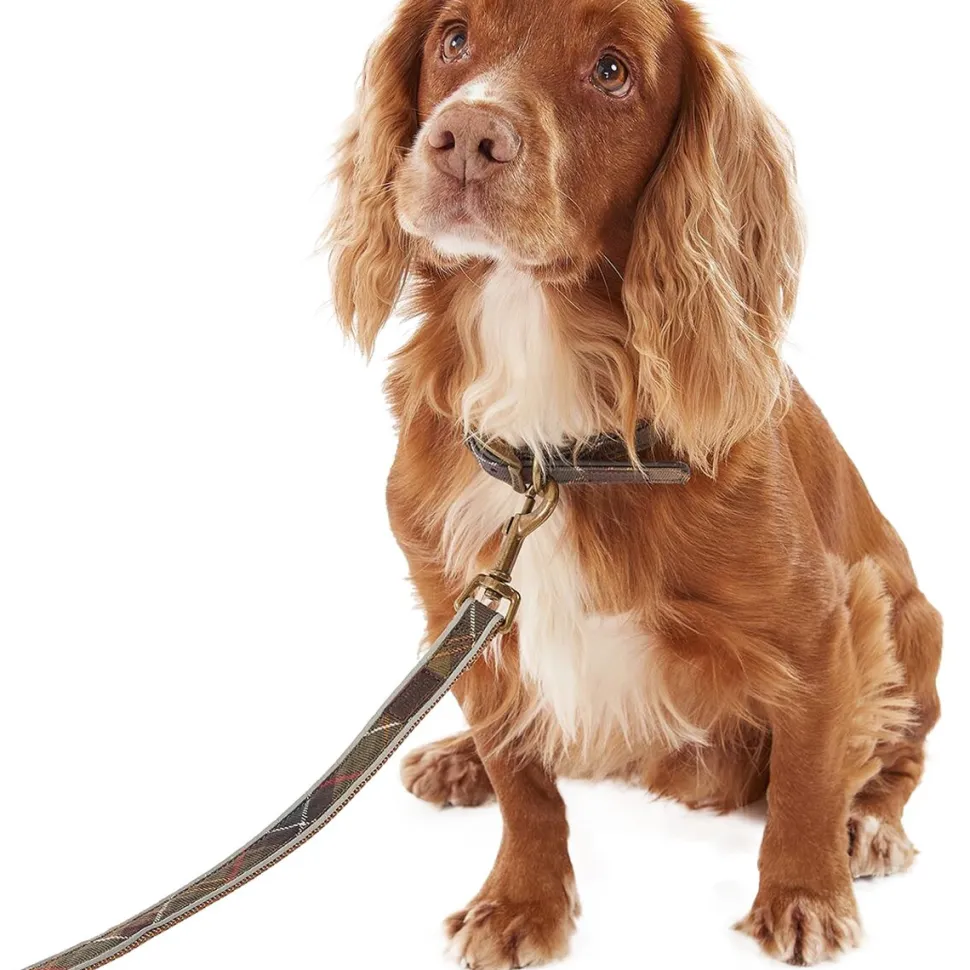Reflective Tartan Dog Lead