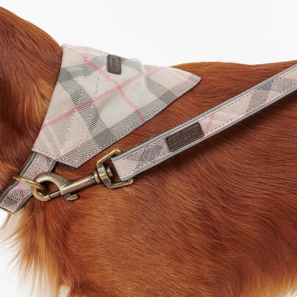 Reflective Tartan Dog Lead