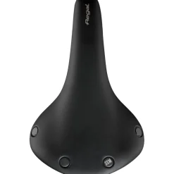 Regal Short Carbon Saddle
