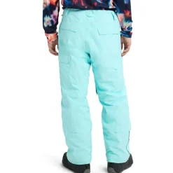 Reserve 2L Insulated Pant - Men's