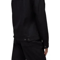 Rock Ridge Jacket - Women's