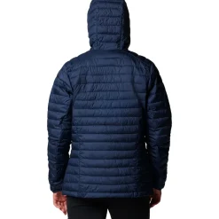Silver Falls II Hooded Jacket - Women's