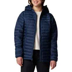 Silver Falls II Hooded Jacket - Women's