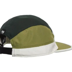 Small ALZCap