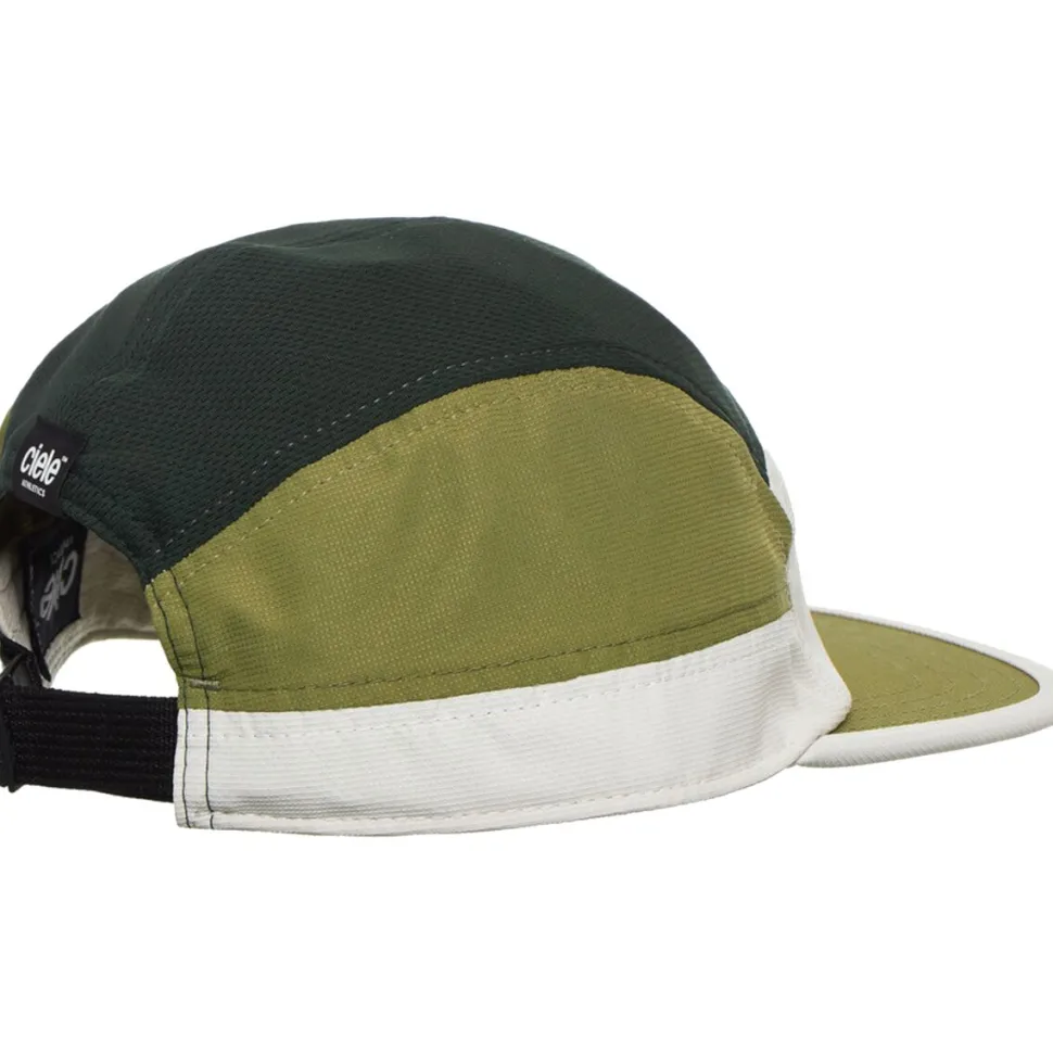 Small ALZCap