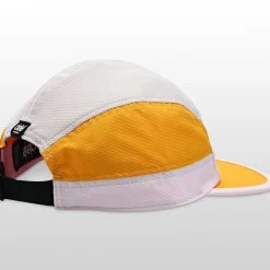 Small ALZCap