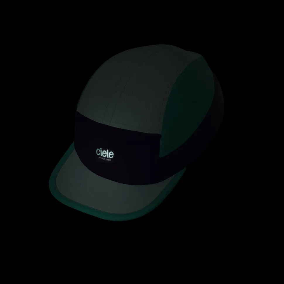 Small ALZCap
