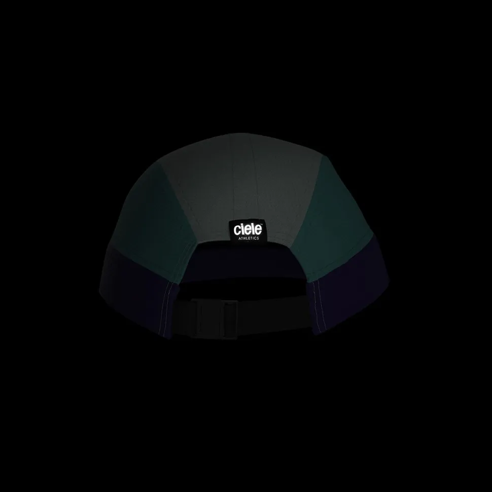 Small ALZCap