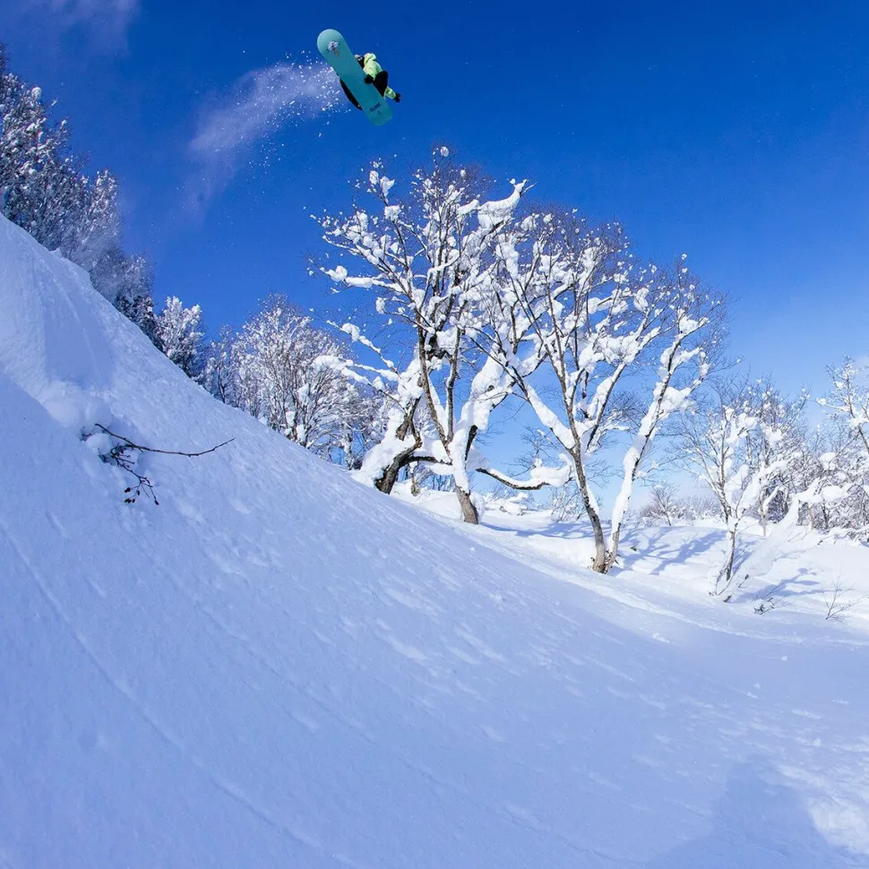 Stale Fish Snowboard - 2026