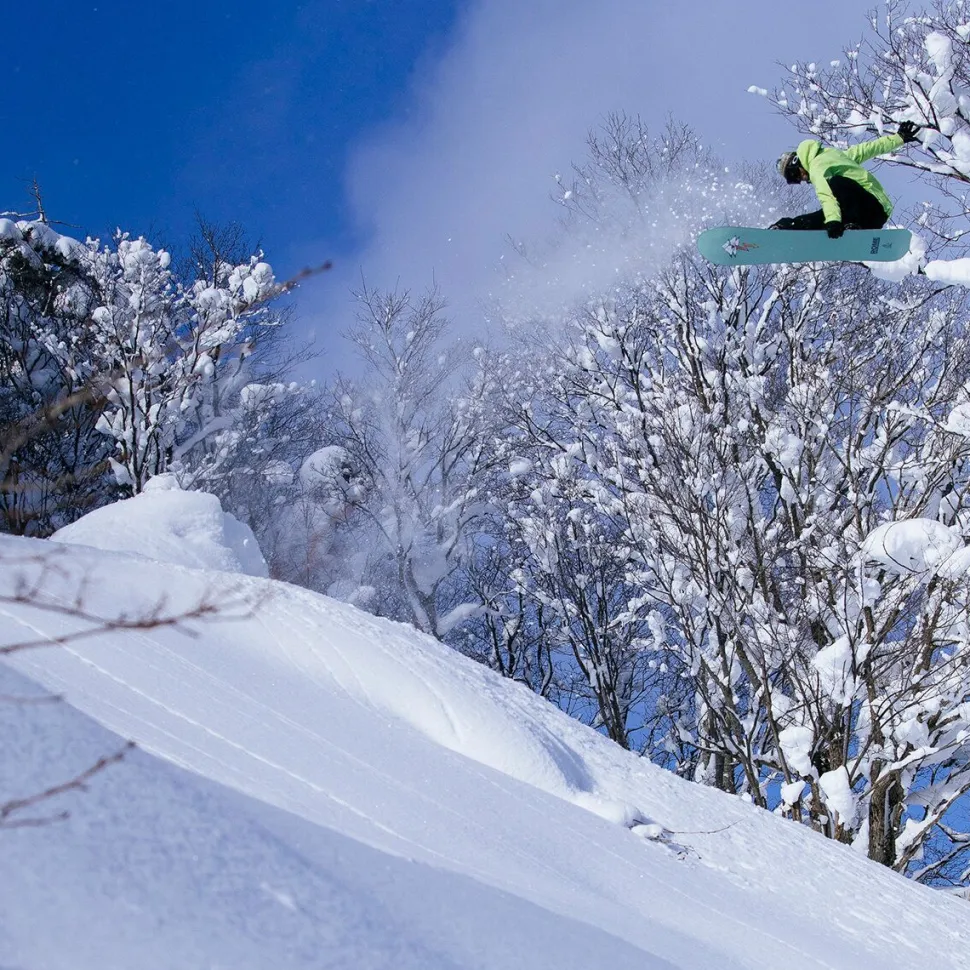 Stale Fish Snowboard - 2026