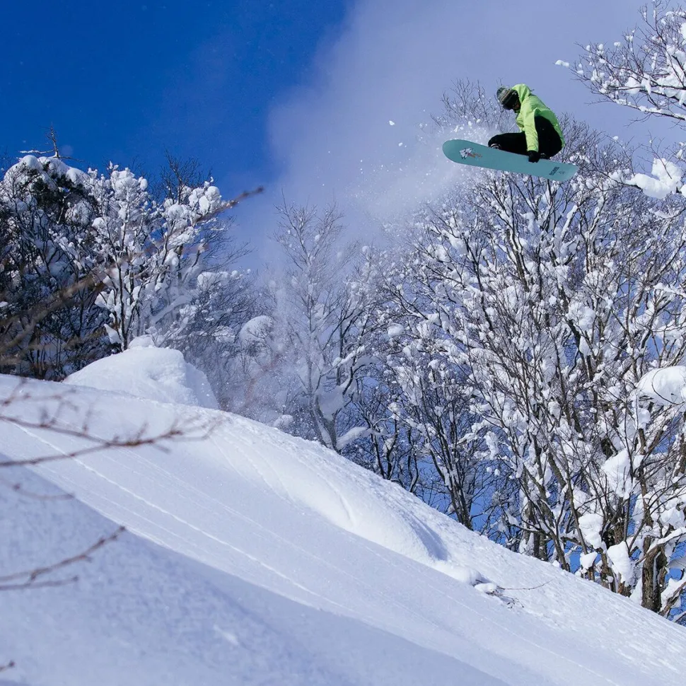 Stale Fish Snowboard - 2026
