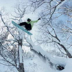 Stale Fish Snowboard - 2026
