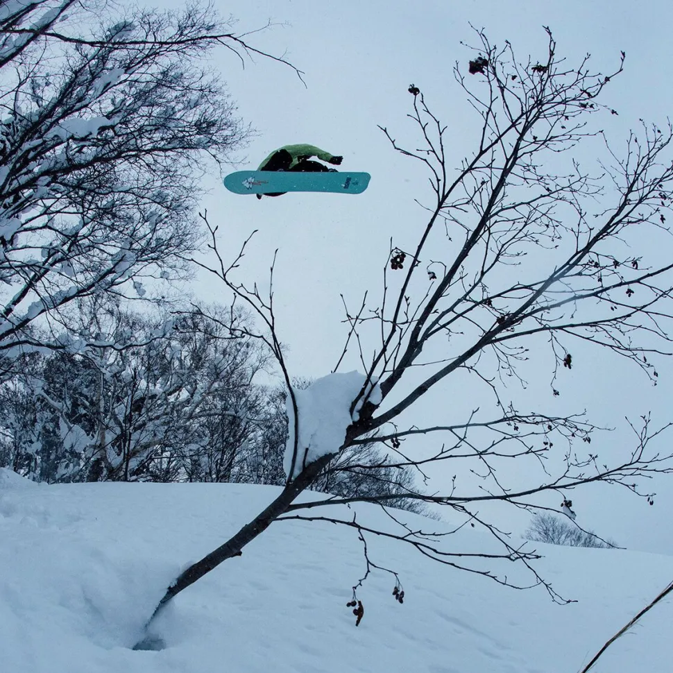 Stale Fish Snowboard - 2026