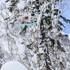 Stale Fish Snowboard - 2026