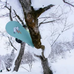 Stale Fish Snowboard - 2026