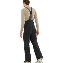 Stance 3L Bib Pant - Men's