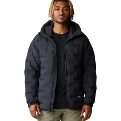 Stretchdown Parka - Men's
