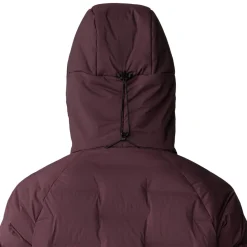 Stretchdown Parka - Women's