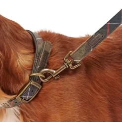 Tartan/Webbing Lead