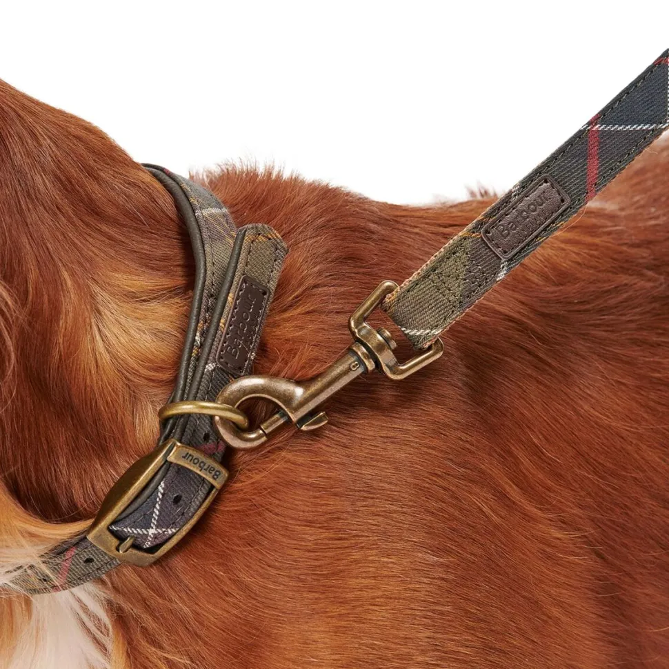 Tartan/Webbing Lead