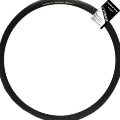 Terreno Zero Tubeless Tire