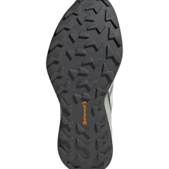 Terrex Agravic GTX Trail Running Shoe - Women's