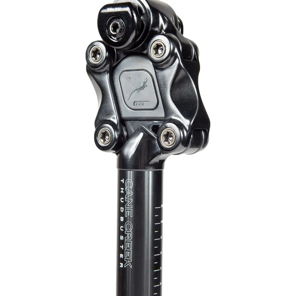 Thudbuster ST Seatpost