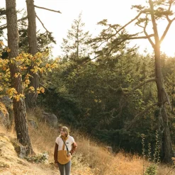 Timber Lane Pullover - Women's
