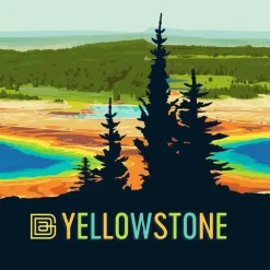 Vision Crew Impression National Park Sock