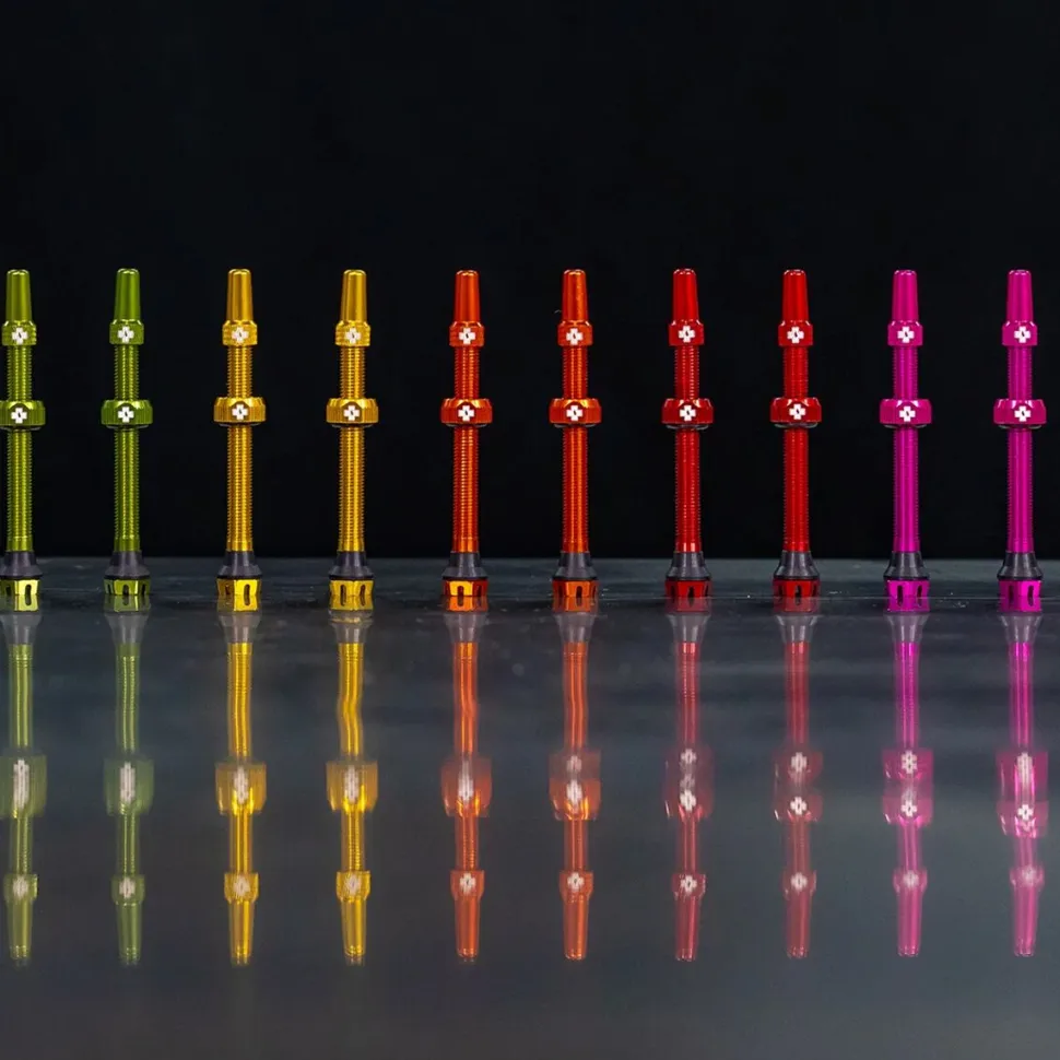 V2 Tubeless Valve Kit