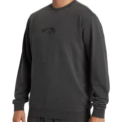 Wave Washed Crewneck Sweatshirt - Men's