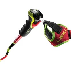 WCR GS 3D Ski Poles