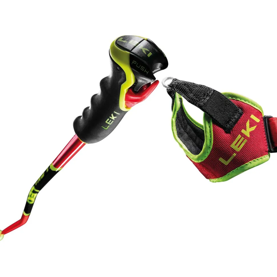 WCR GS 3D Ski Poles
