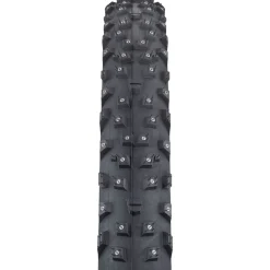 Wrathchild Studded Tubeless 29 x 2.6in Tire