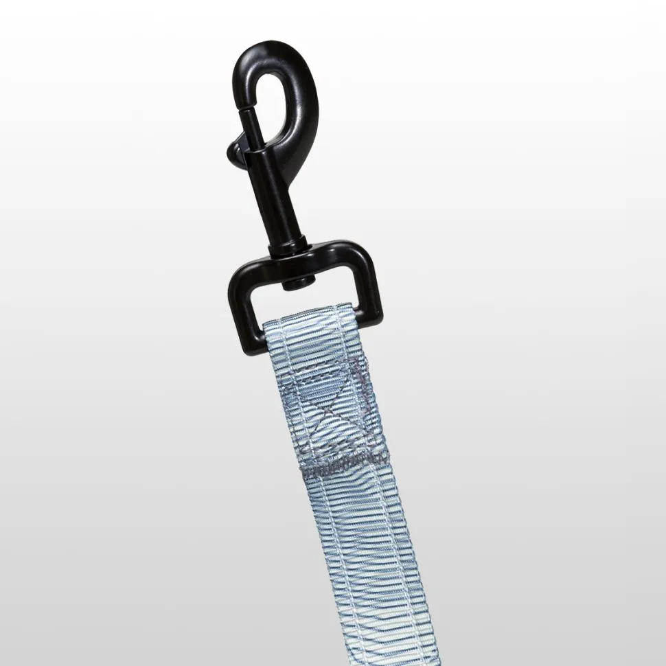 x Petco The LED Lead