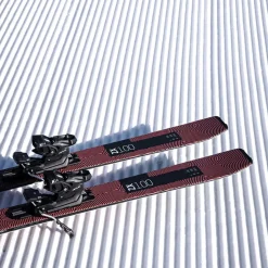 ZX 100 Ski - 2026